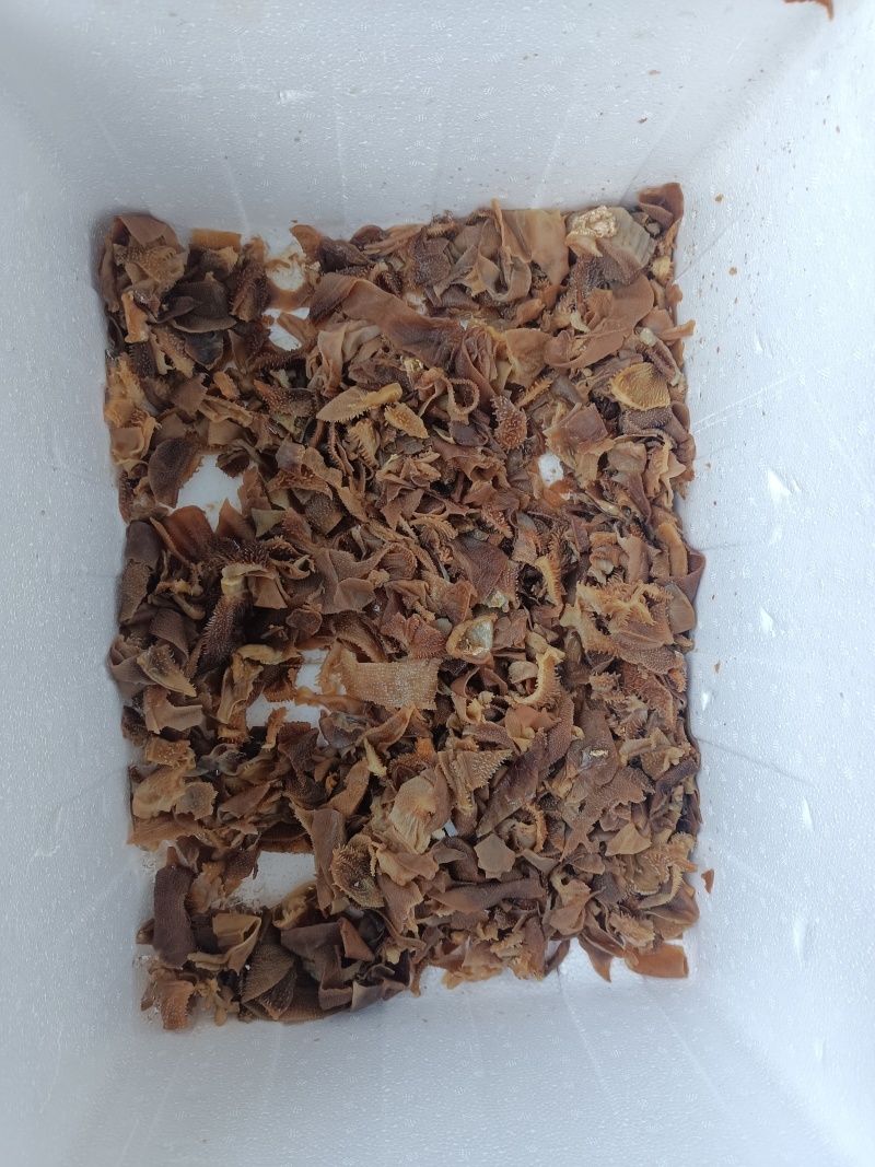 碎毛肚