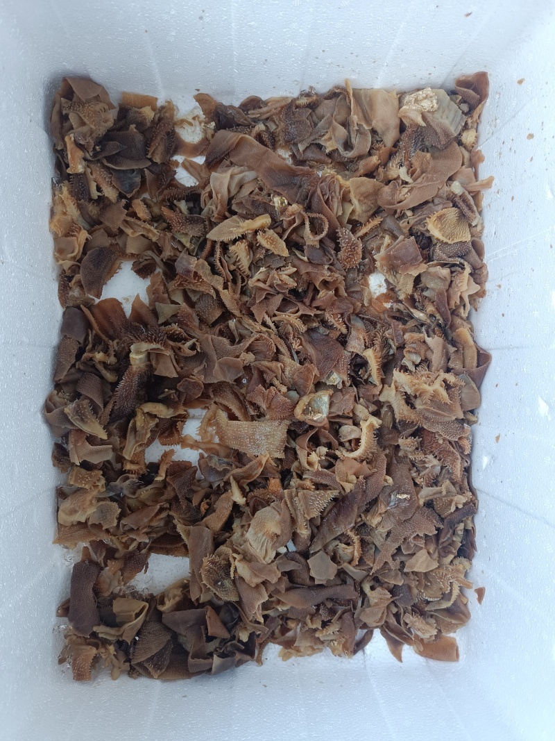 碎毛肚