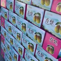礼盒香梨大量现货，口感细甜无渣适合各个市场，超市，电商