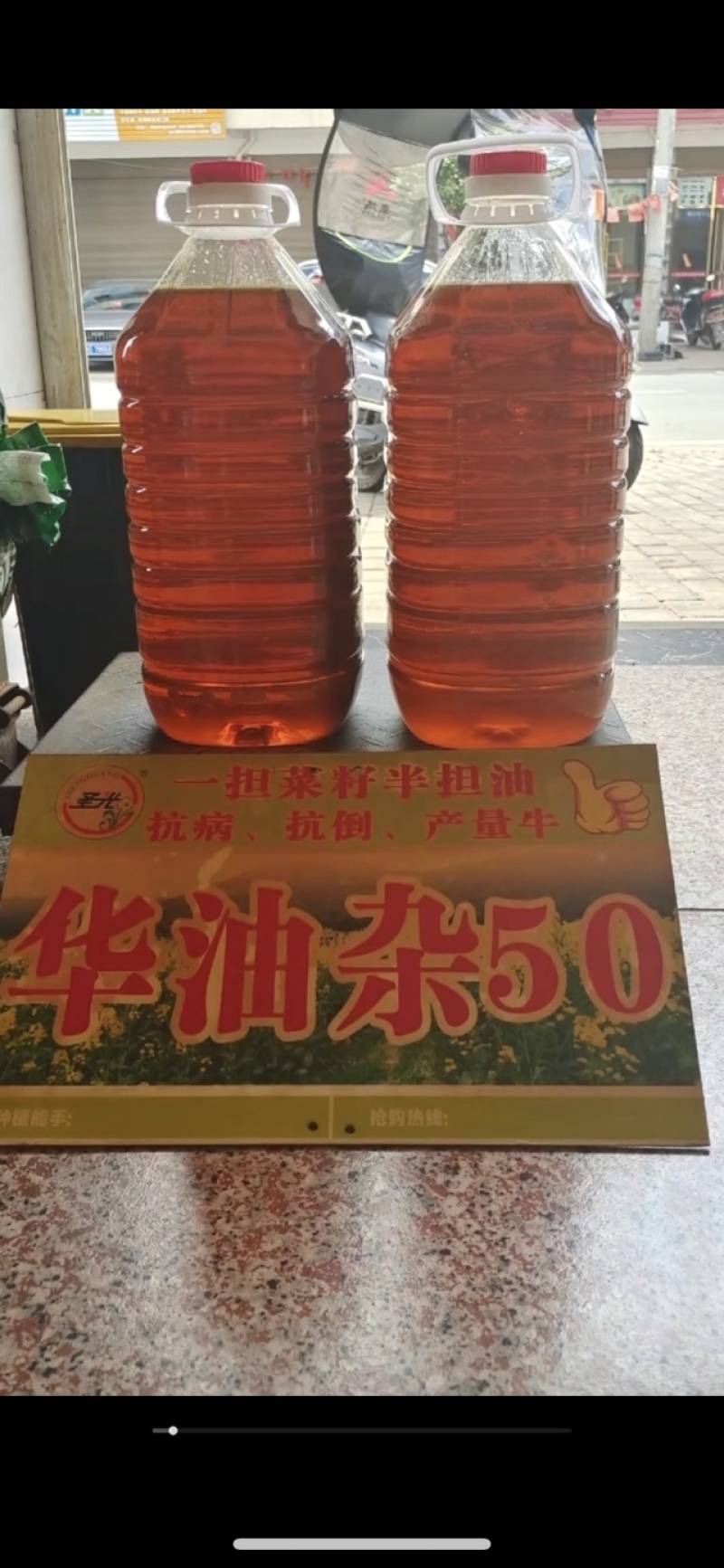 华杂50油菜籽