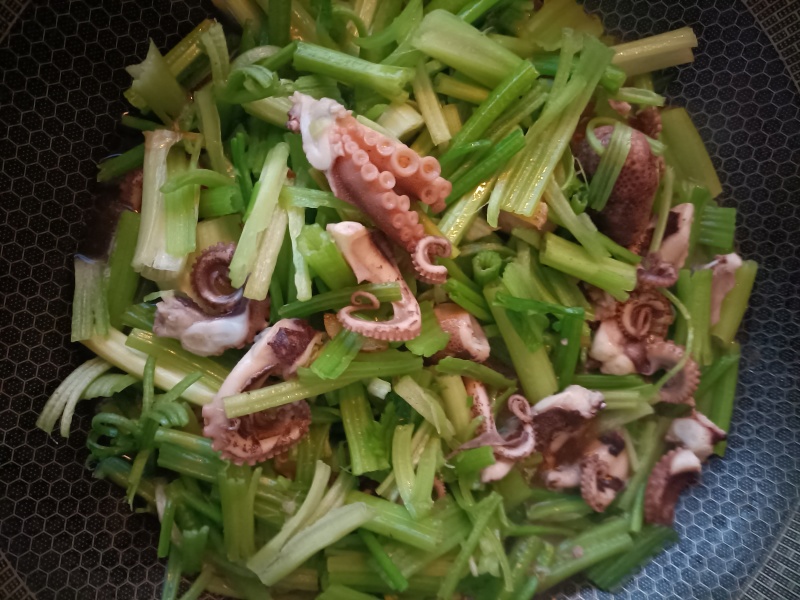 八爪鱼