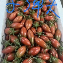 子弹头西红柿大量供应，产地直供，