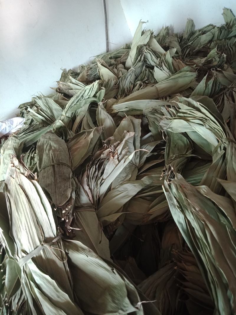 来自深山精心挑选的精品优质晒干的干粽叶包粽子专用品质好