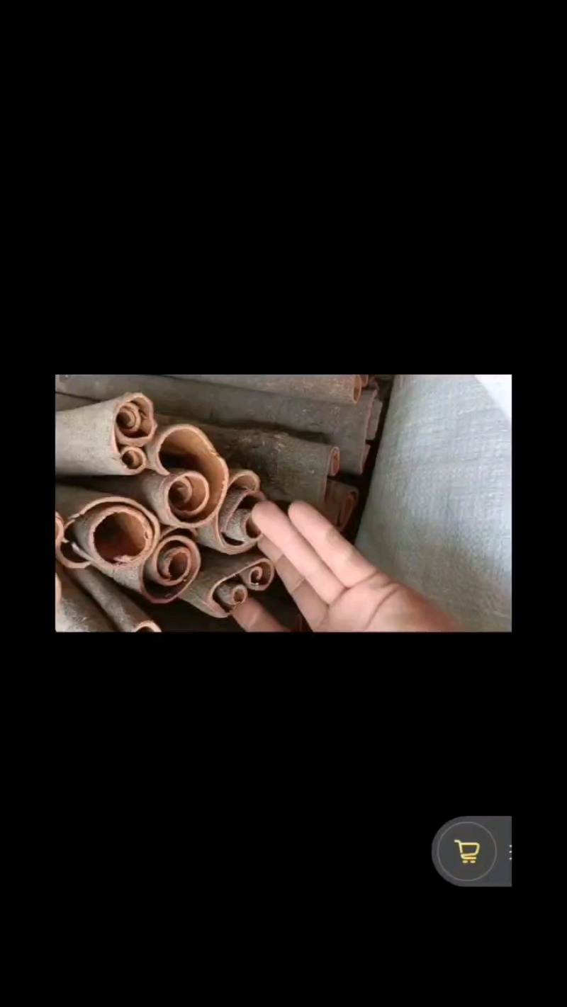 【优选】广西精品桂皮自产自销，基地种植，现货直发价格优惠