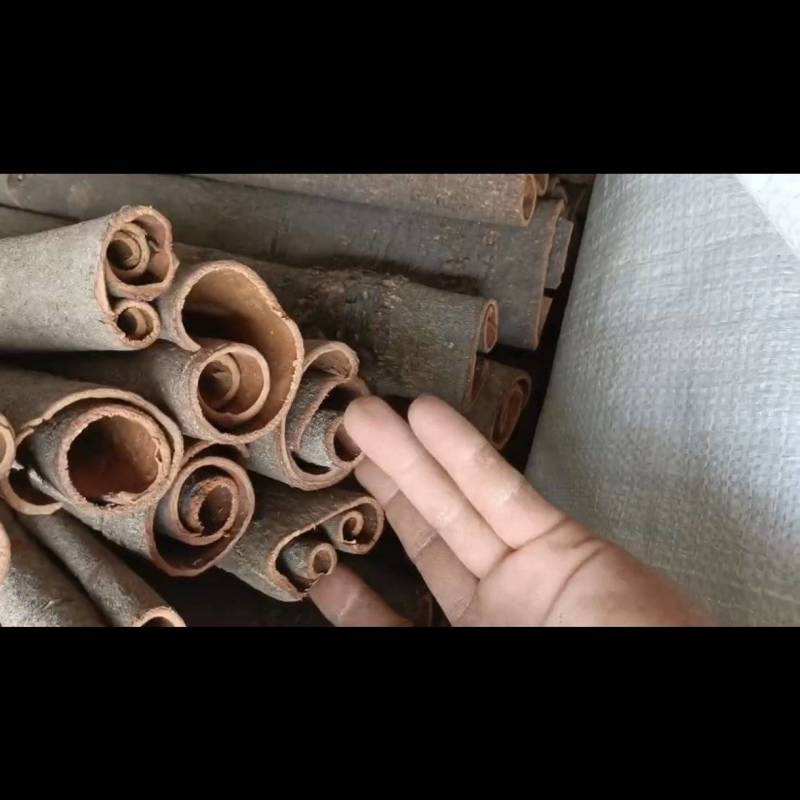 【优选】广西精品桂皮自产自销，基地种植，现货直发价格优惠
