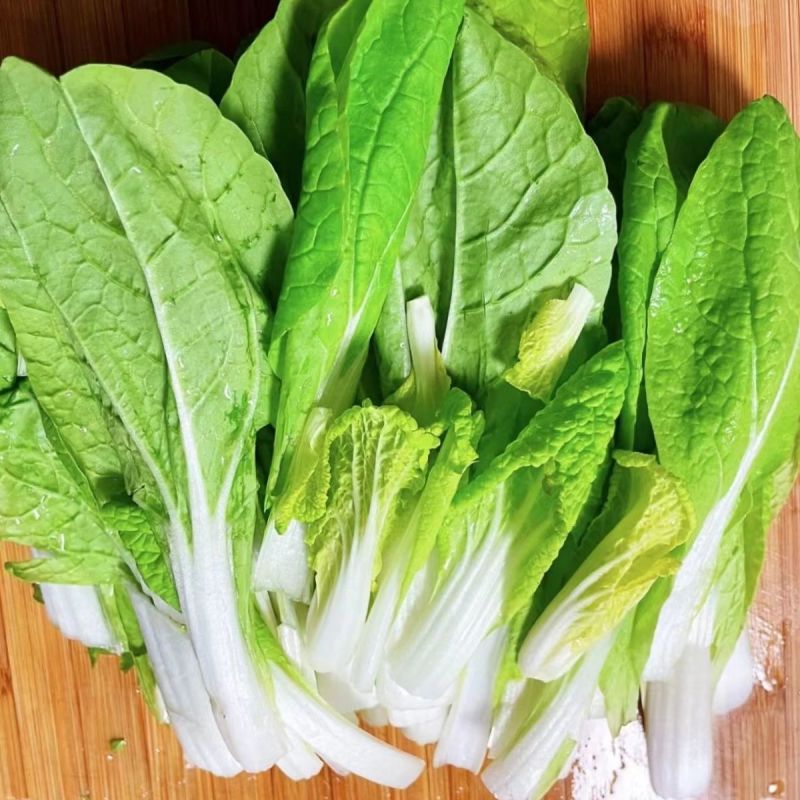 河北小白菜大量有货，欢迎咨询，实地看货，洽谈合作