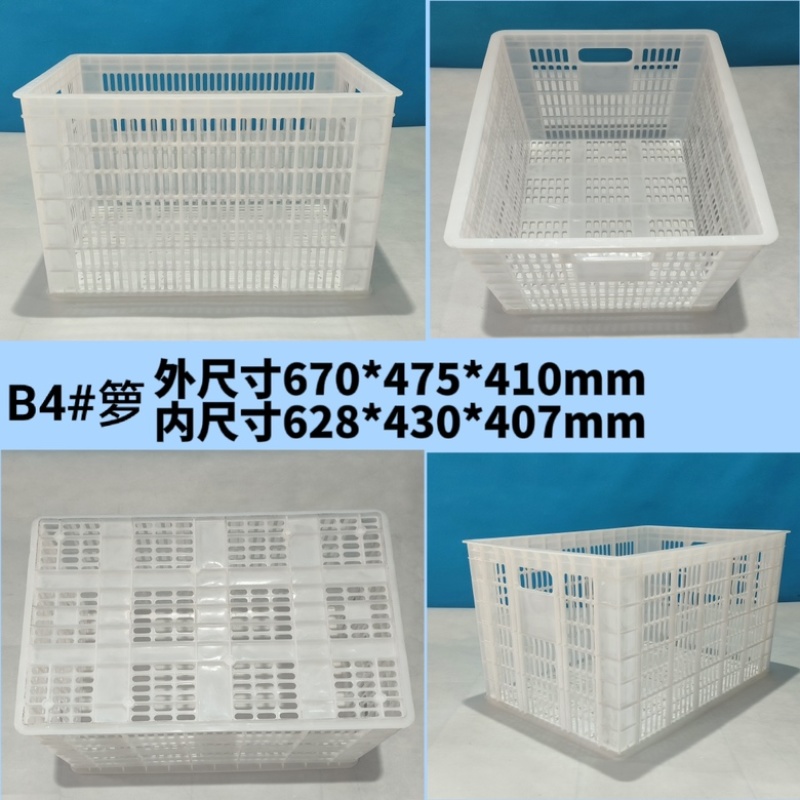 广东佛山精品蔬菜筐水果周转筐工厂直发量大从优【推荐】