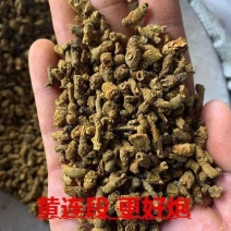 中药材黄连包邮鸡爪黄连茶泡水黄莲段黄连粉超