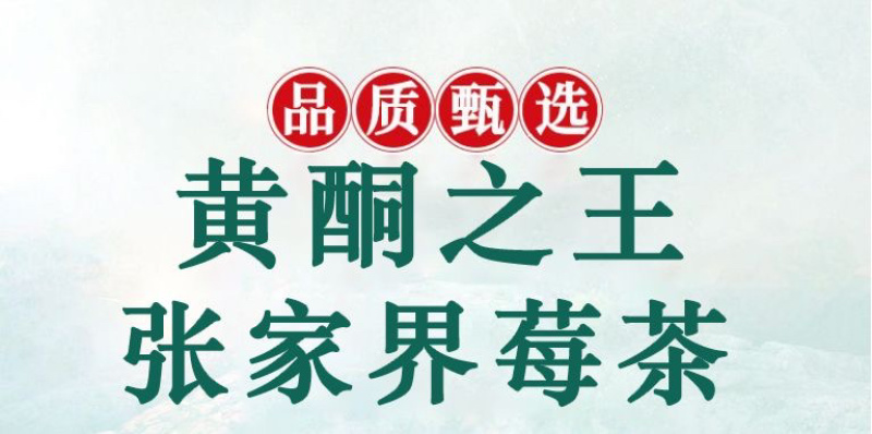 张家界莓茶，藤茶基地直供