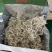 张家界莓茶，藤茶基地直供