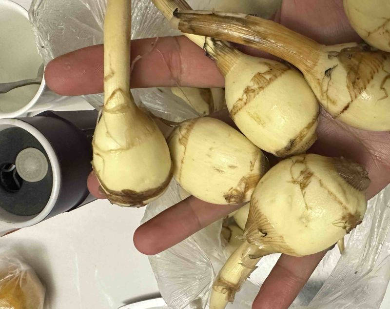 电商专用茨菇，自家基地，自产自销，低价好货