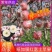 【常年供应】冰糖心苹果红富士苹果山西苹果现货批发