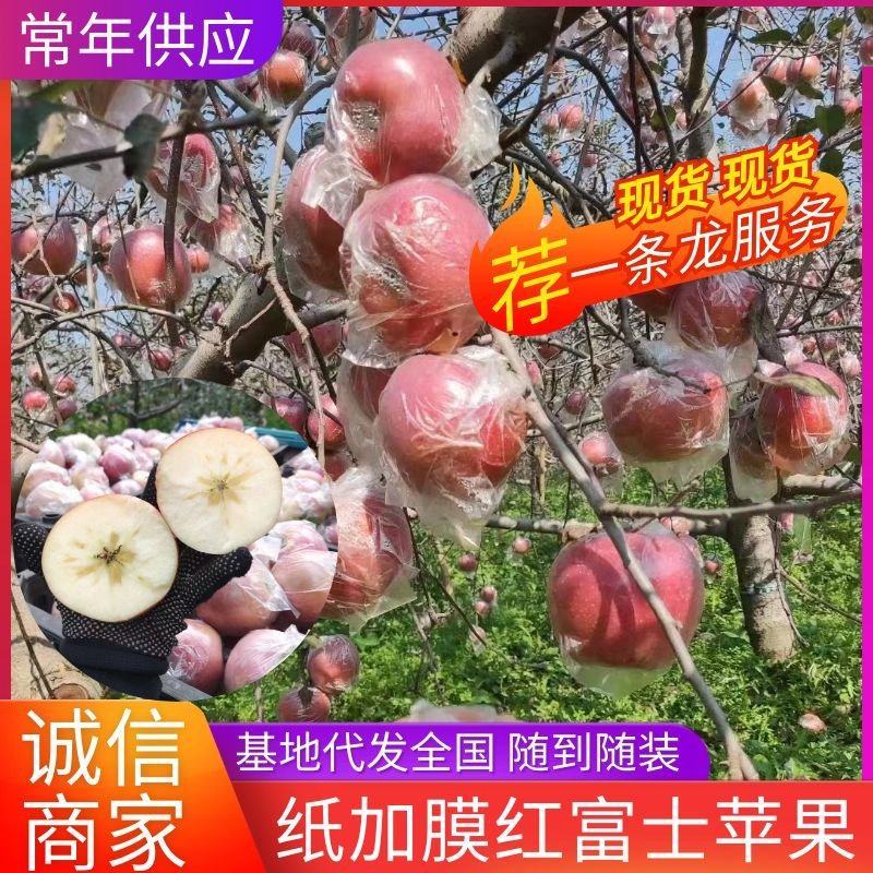 【常年供应】冰糖心苹果红富士苹果山西苹果现货批发