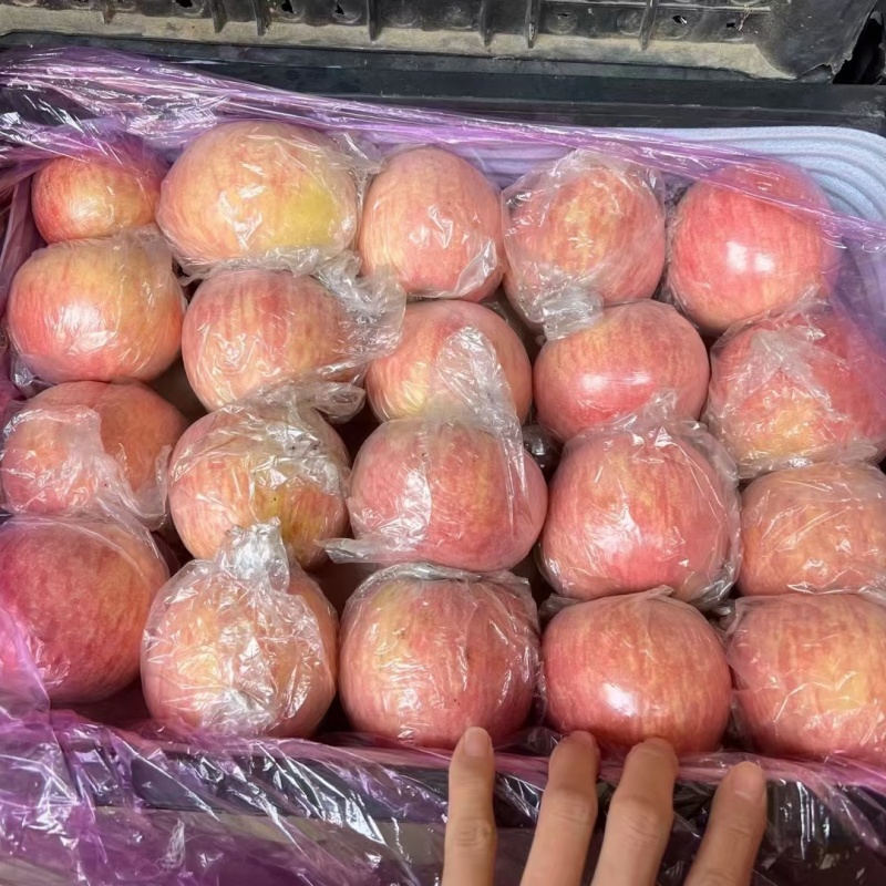 【常年供应】冰糖心苹果红富士苹果山西苹果现货批发