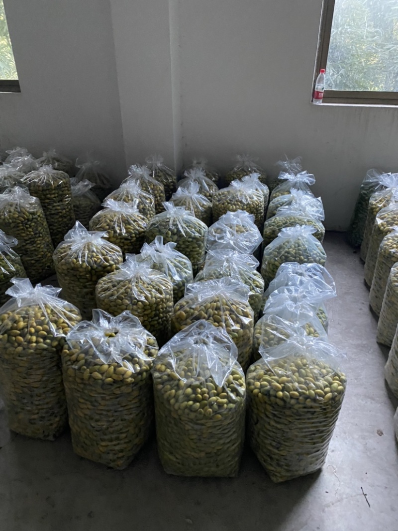 大量出售四川橄榄.量大从优.欢迎骚扰！