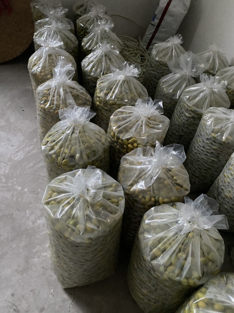 大量出售四川橄榄.量大从优.欢迎骚扰！