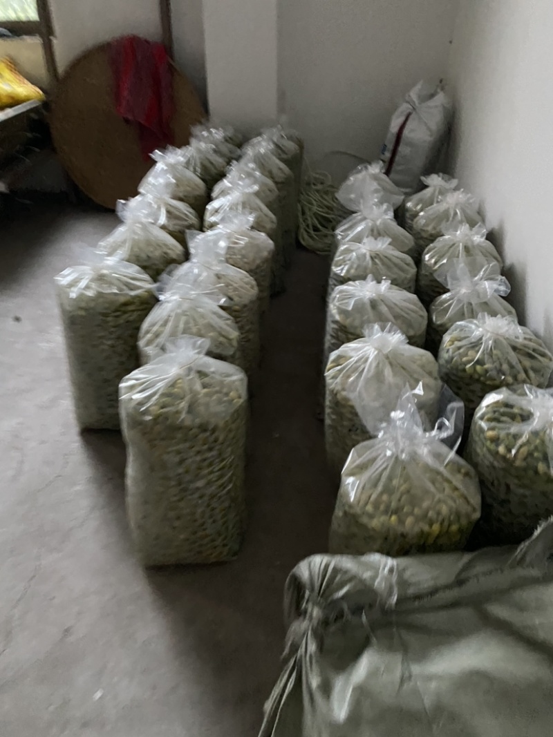 大量出售四川橄榄.量大从优.欢迎骚扰！