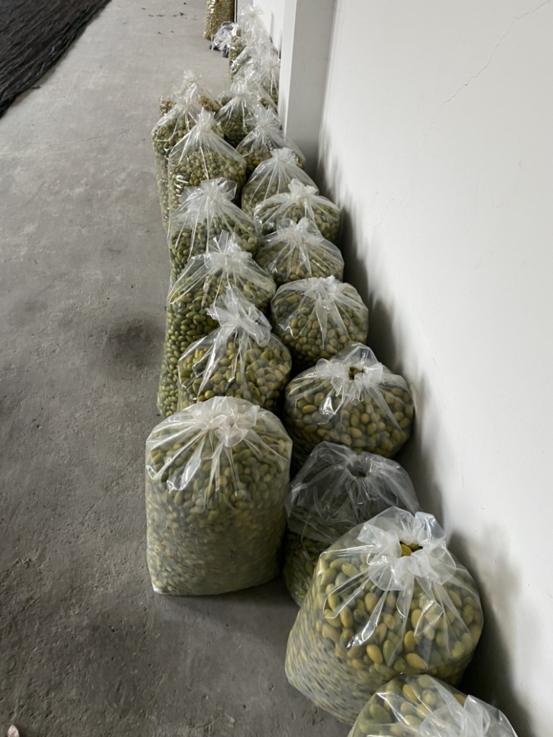 大量出售四川橄榄.量大从优.欢迎骚扰！