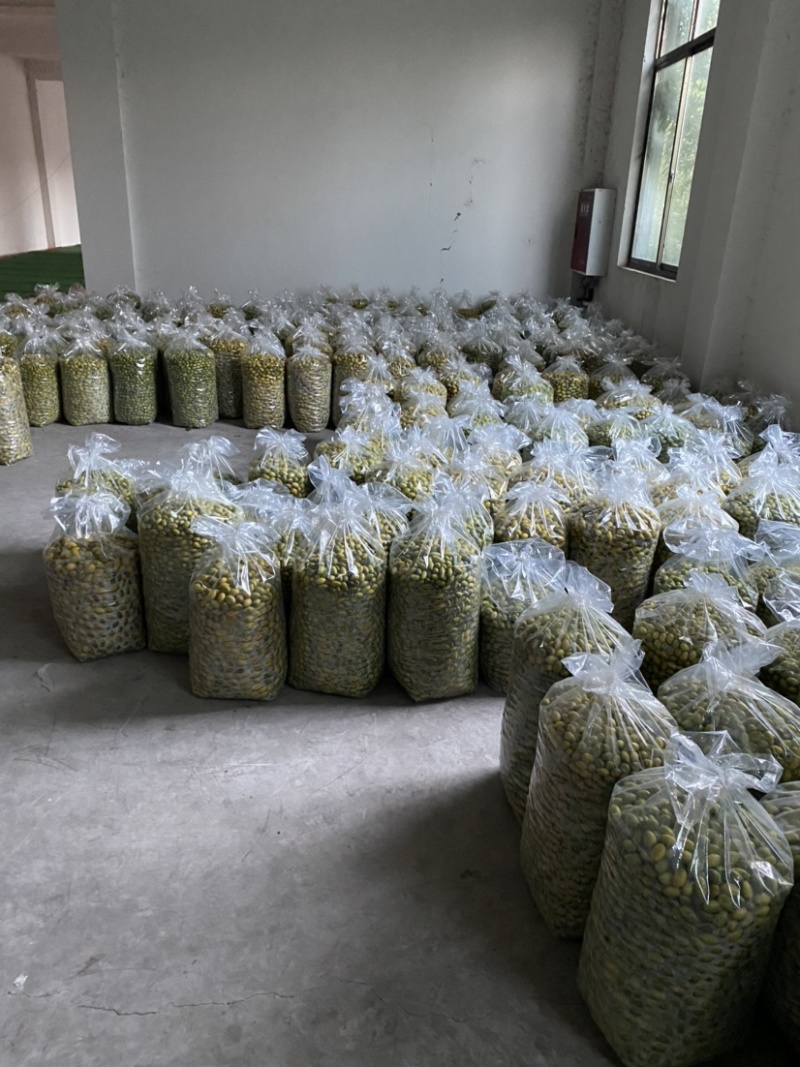 大量出售四川橄榄.量大从优.欢迎骚扰！