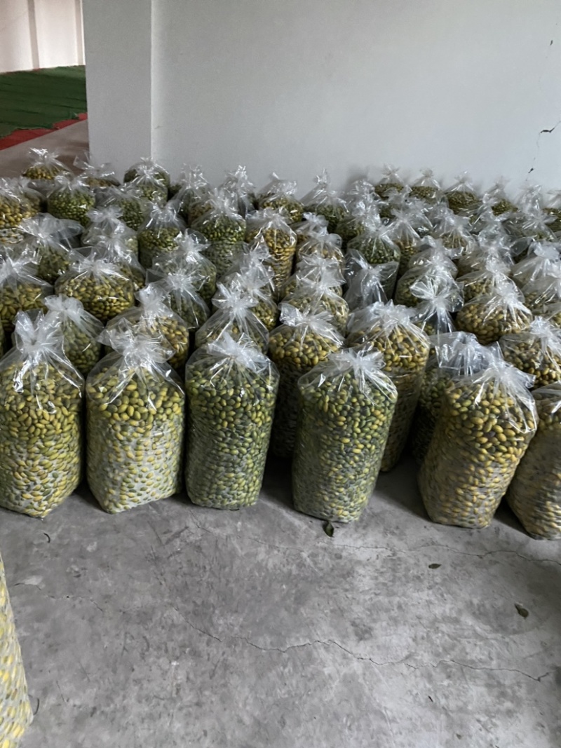 大量出售四川橄榄.量大从优.欢迎骚扰！