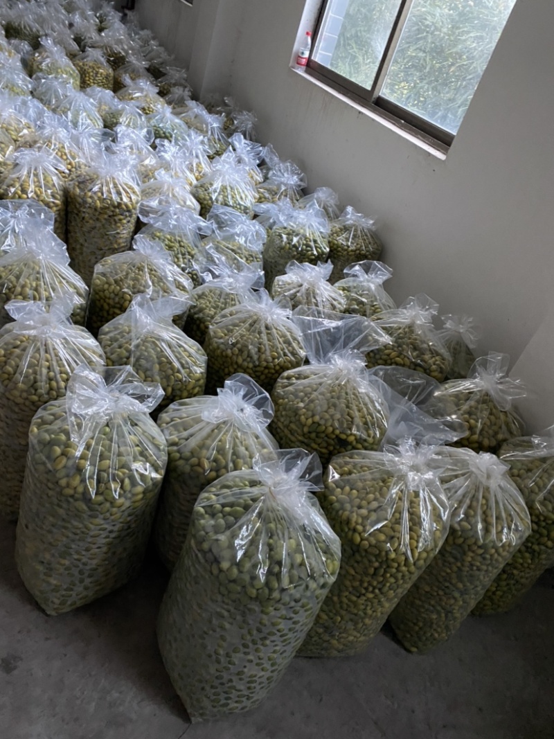 大量出售四川橄榄.量大从优.欢迎骚扰！