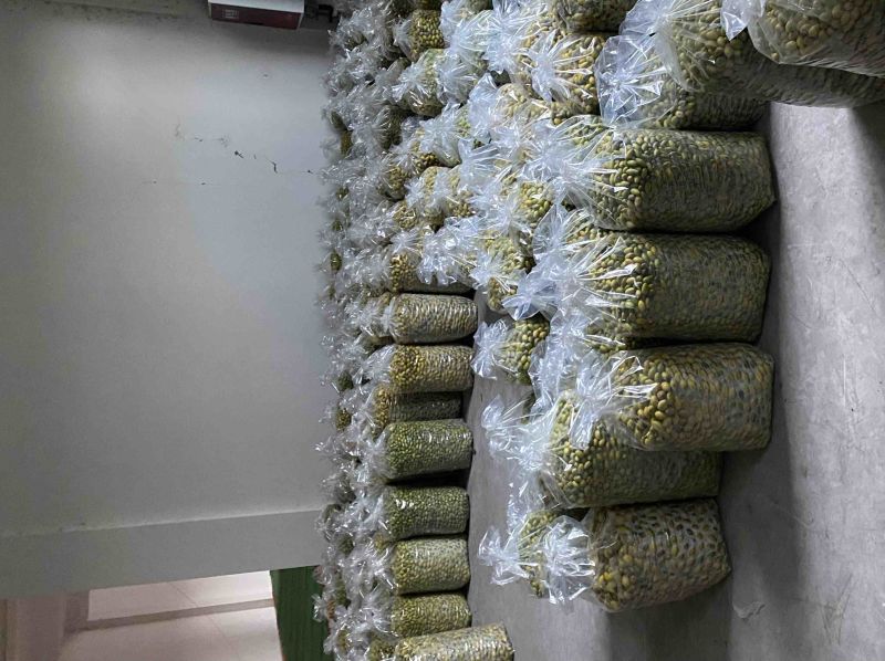 大量出售四川橄榄.量大从优.欢迎骚扰！