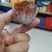 老树糖霜柿饼农家纯手工制作自然上霜无添加常年供应