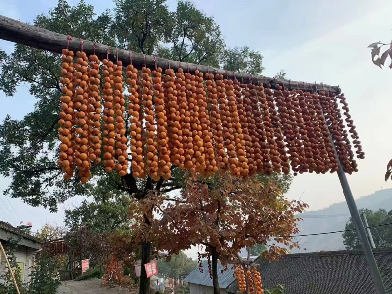 老树糖霜柿饼农家纯手工制作自然上霜无添加常年供应