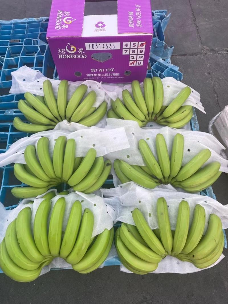 主要经营：菲律宾精品二级蕉，净重27斤，保质保量。