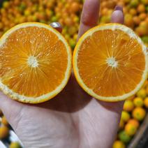 [一件玳发]麻阳冰糖橙，对接电商微商社区团购