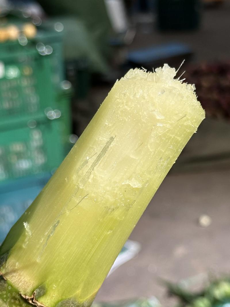[一件玳发]黄皮甘蔗，对接电商微商社区团购