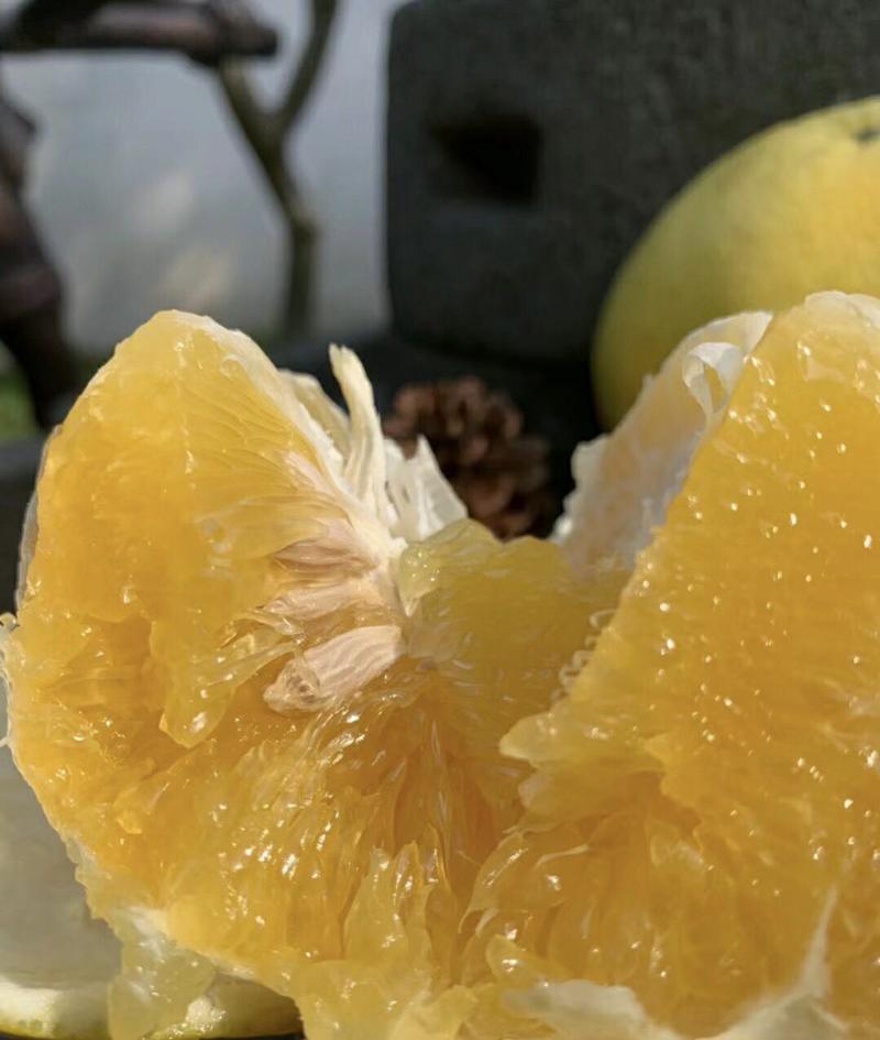 [一件玳发]黄金葡萄柚，对接电商微商社区团购