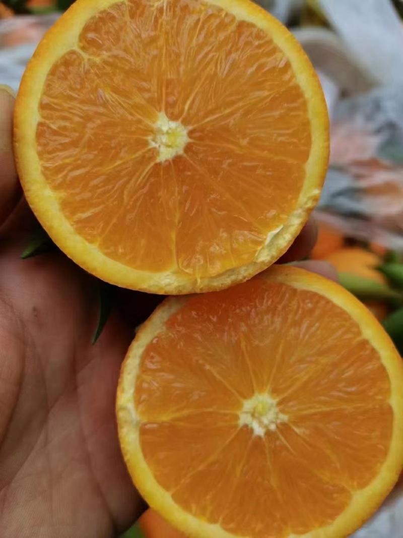 [一件玳发]秭归脐橙，对接电商微商社区团购