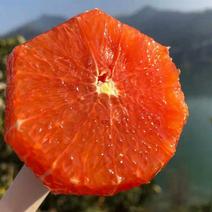 [一件玳发]中华红橙，对接电商微商社区团购