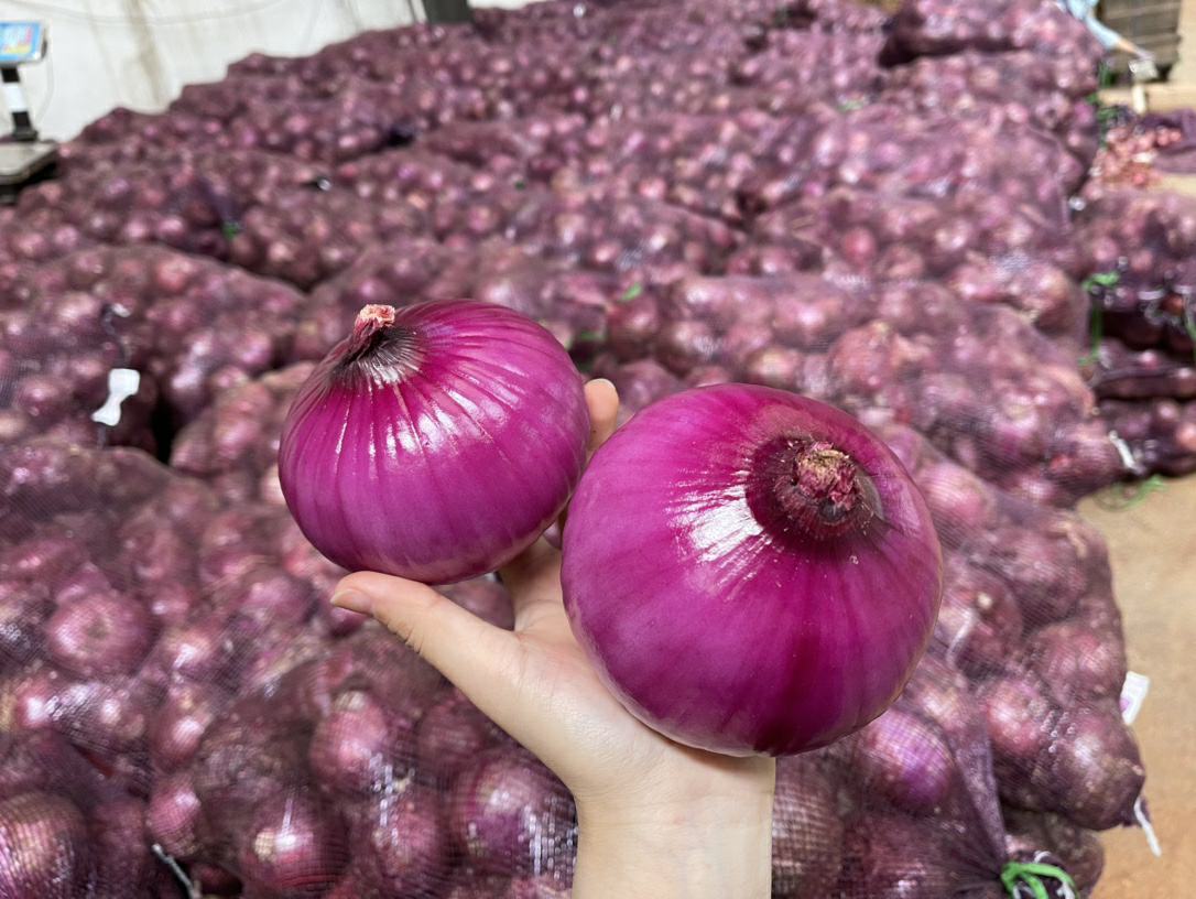 紫皮洋葱在菜市场中展示