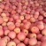 苹果大量现货，全红，条纹75以上的上不封顶有要的老板联系