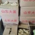 出售优质生姜，精品各种规格生姜，欢迎选购