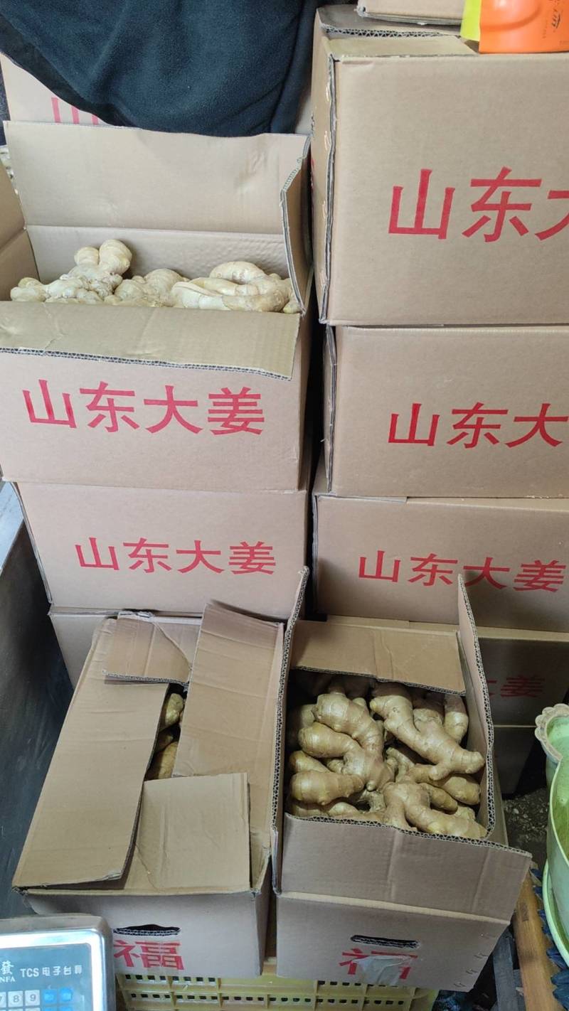 出售优质生姜，精品各种规格生姜，欢迎选购