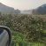 套袋爱媛果冻橙，高山沙地士出产，味道纯正自然红，水果**