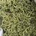 正品化石草云南精选特级正品野生化石草茶高海拔中药材