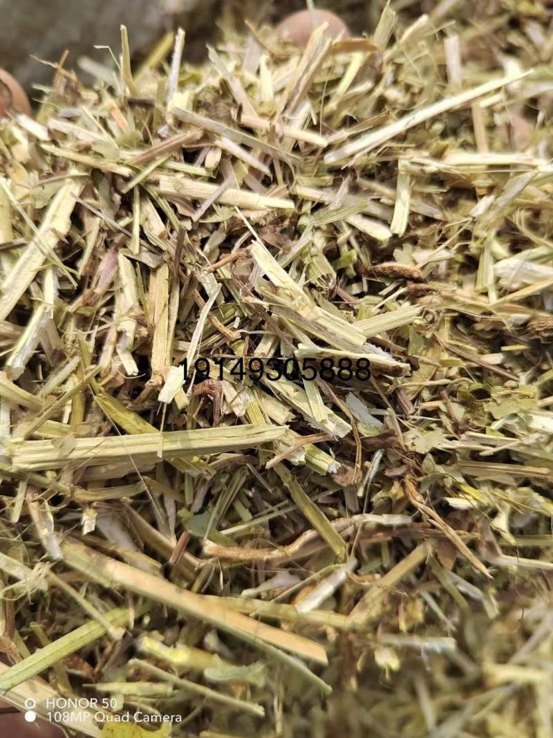 河南精品饲料原料花生秧产地直发一手货源诚信经营