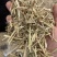河南精品饲料原料花生秧产地直发一手货源诚信经营