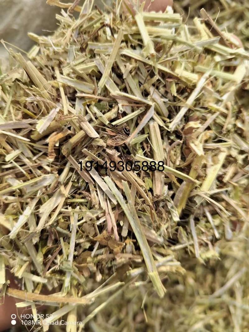 河南精品饲料原料花生秧产地直发一手货源诚信经营