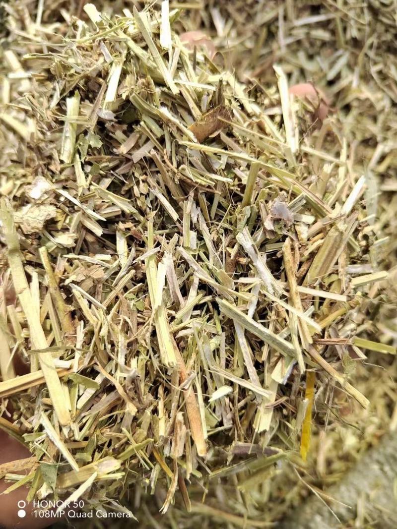 河南精品饲料原料花生秧产地直发一手货源诚信经营