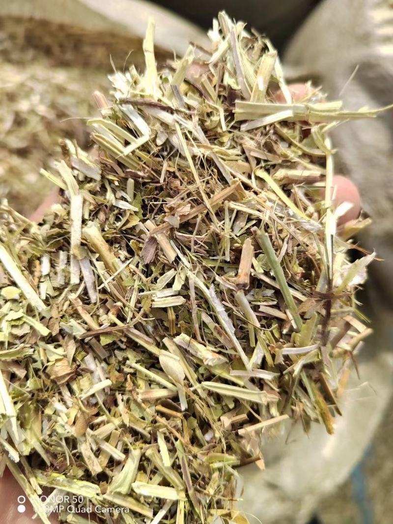河南精品饲料原料花生秧产地直发一手货源诚信经营