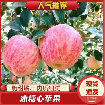 苹果新疆阿克苏冰糖心苹果新鲜水果特级胜丑苹果整箱12斤件