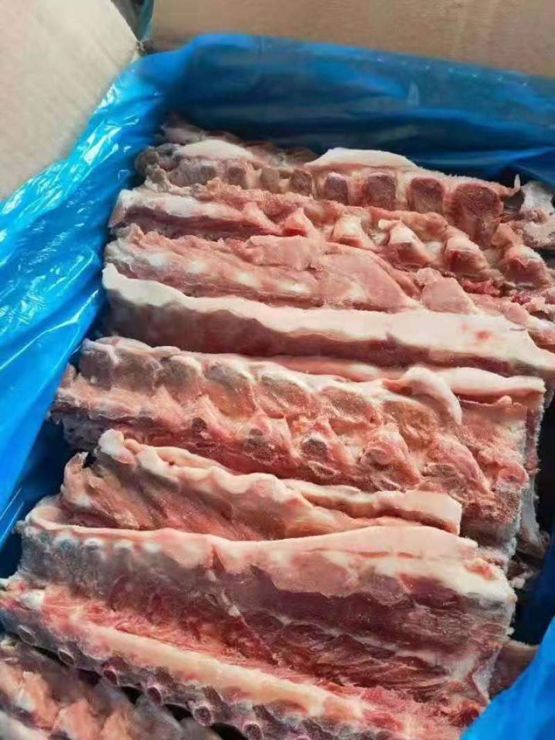 猪龙骨