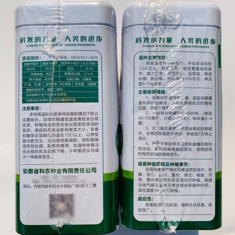 科农美都西瓜种子一代杂交大红瓤西瓜种籽花皮圆形西瓜品种耐