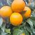 脐橙，自己家果子，几十万斤，量大从优，可对接全国各地客商
