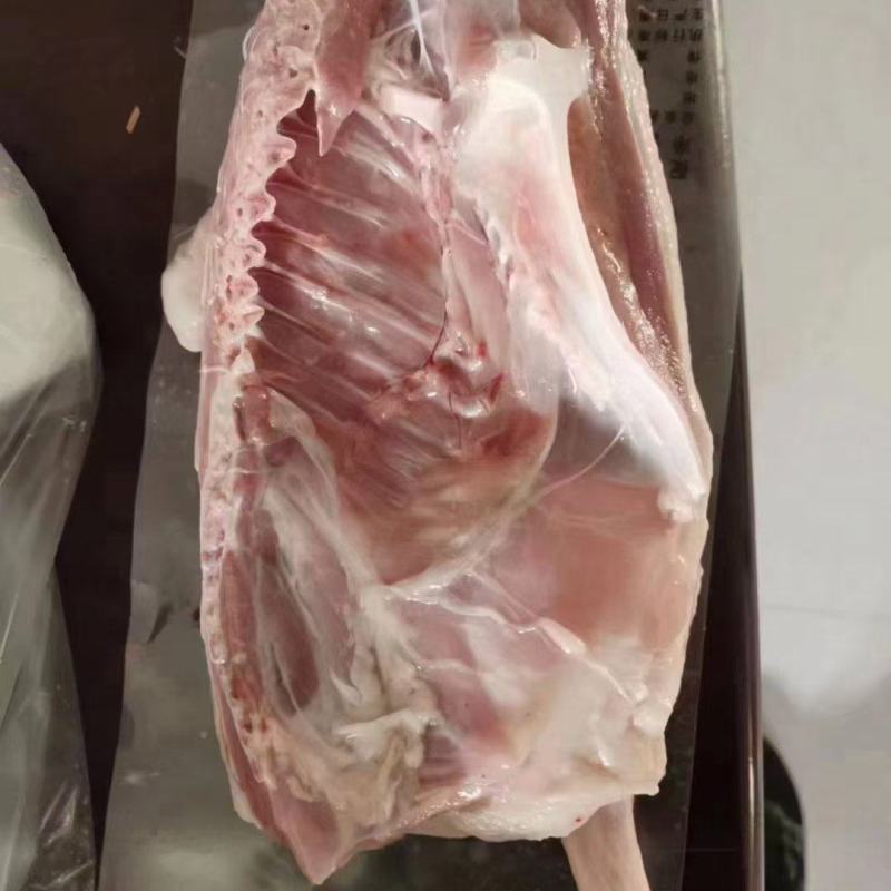 半片鸭